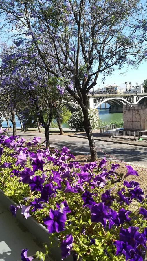 Anna - Triana Apartment Seville Ngoại thất bức ảnh